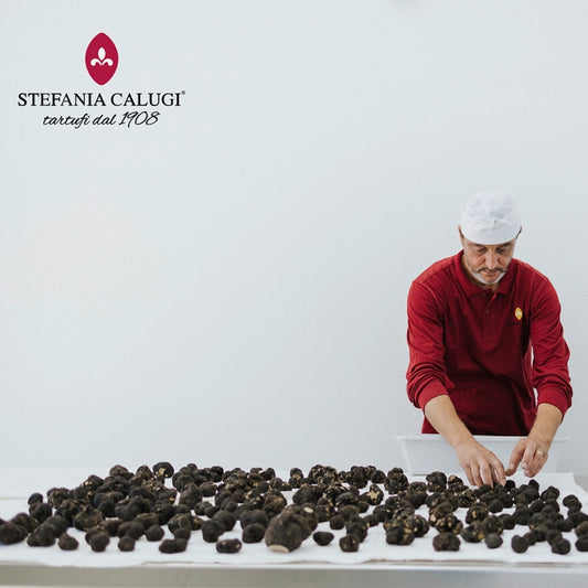 Stefania Calugi Tartufi - Sommertrüffel